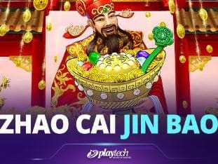 Zhao Cai Tong Zi icon